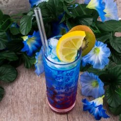 Top 10 😍 BarMan BarConic® Collins Glass - Blue Hibiscus Pattern - 9.5 Ounce 🔥 5 Top 10 😍 BarMan BarConic® Collins Glass - Blue Hibiscus Pattern - 9.5 Ounce 🔥 -BarMan - shop Barconic blue hibiscus pattern scene2 700x700