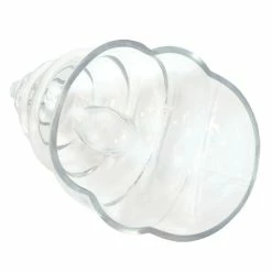Best Pirce ???? BarMan BarConic® Tiki Mug - Conch Glass - 22 Ounce ✨ -BarMan - shop gw conch2 bpc 800 1 700x700