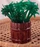 Outlet 🎁 BarMan BarConic® Green Palm Tree Stirrers - 7" - Pack Of 200 ✔️