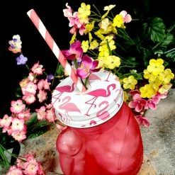 New 🛒 BarMan BarConic® Glassware - Pink Flamingo Glass - 18 Ounce 😀 -BarMan - shop pink flamingo jar bpc 5 700x700