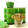 Best deal 😀 BarMan Tiki Mug Drinkware Set - Green Bamboo 🛒